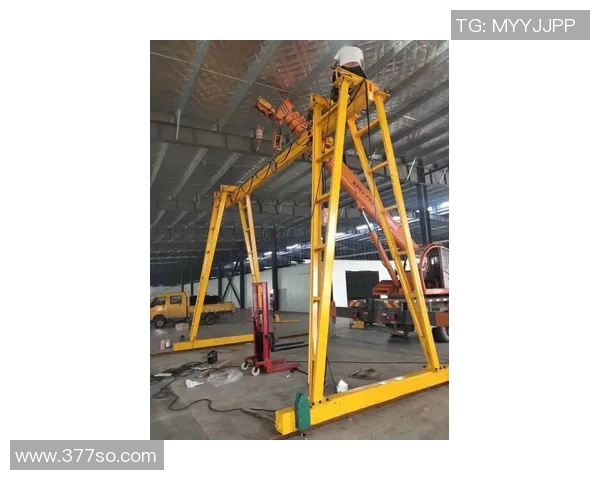 龙门架多维轨道设计解锁135种训练变式 龙门架多维轨道设计解锁135种训练变式