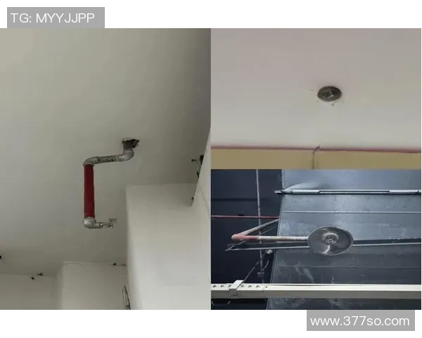 提升消防安全管理效率探索智能消防设备的应用与发展