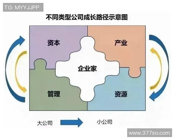 进球为核心的战略布局解析与球队攻击力提升方案 进球为核心的战略布局解析与球队攻击力提升方案