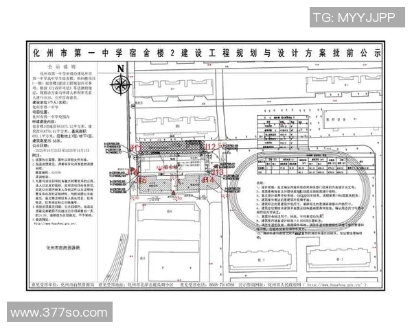 打造理想泳池空间全攻略从设计规划到施工维护一站式指南